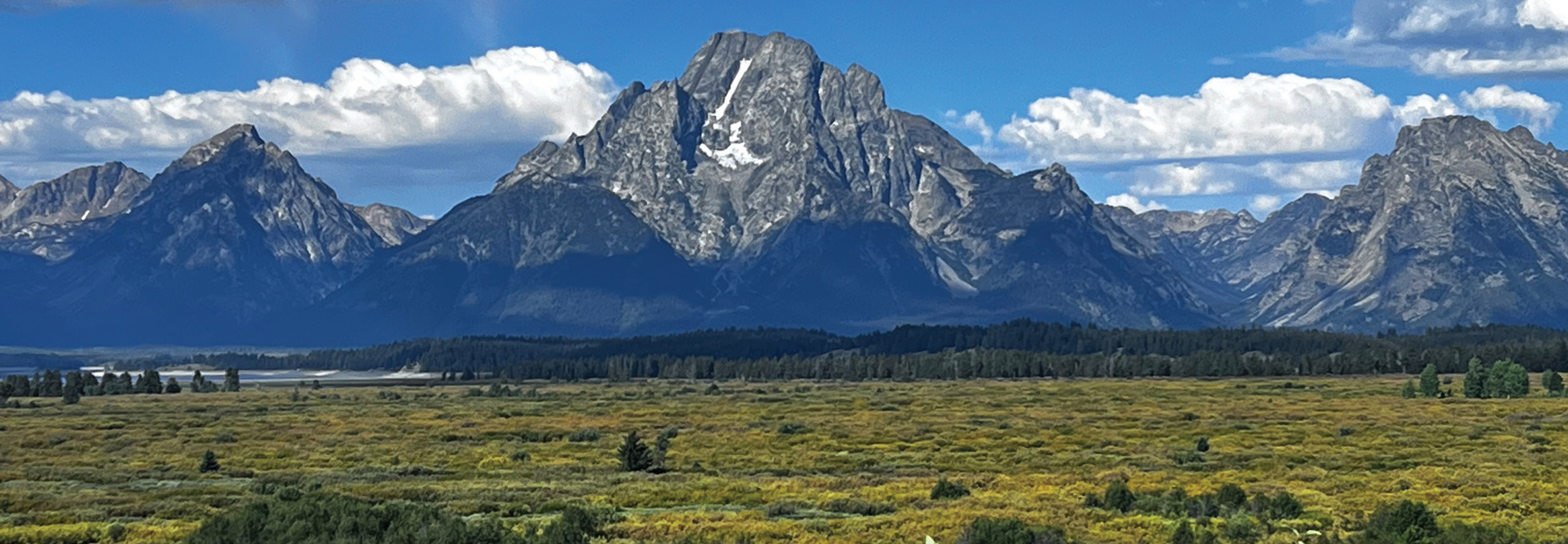 The rugged Grand Teton mountain range in Wyoming rises above a golden meadow and a line of pine trees under a partly cloudy sky.