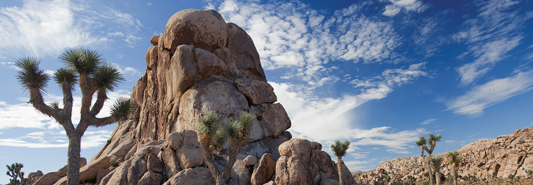 Towering boulders and Joshua trees under a blue, cloud-streaked sky in Joshua Tree National Park, California.