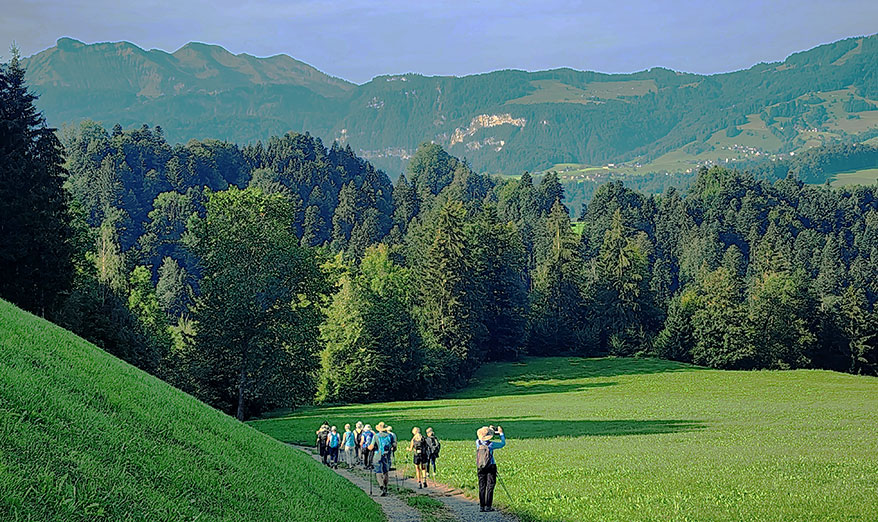 A group hiking in the mountains through scenic alpine landscapes and lush forests on an excursion in Austria, Germany, and France.