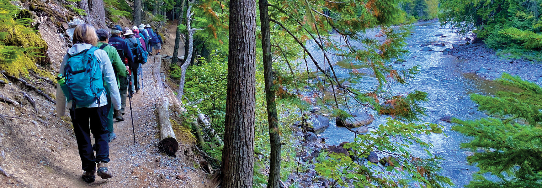 A group of hikers walks along a dirt trail next to a river in a Montana forest.