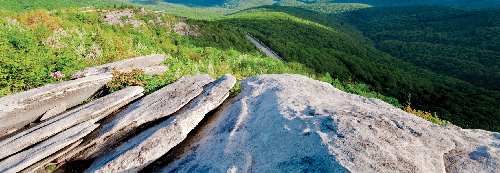A view from a rocky outcrop overlooking the lush, green Southern Appalachian Mountains in Tennessee with a road winding through the valley below.