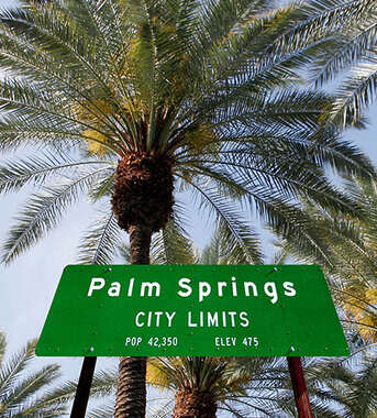 A green Palm Springs, California, city limits sign stands before several tall palm trees reaching into a clear blue sky.