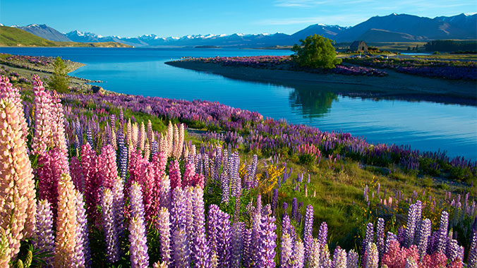 New Zealand's Natural Wonders