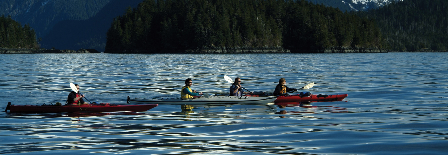 Four people kayaking on a calm blue bay in Alaska with a forested shoreline and mountains in the background.