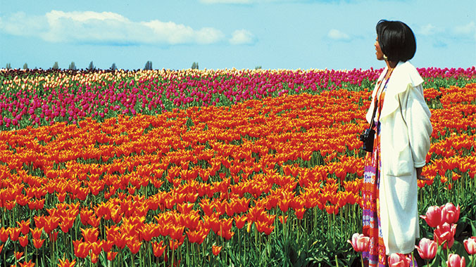 Bountiful Holland, Netherlands