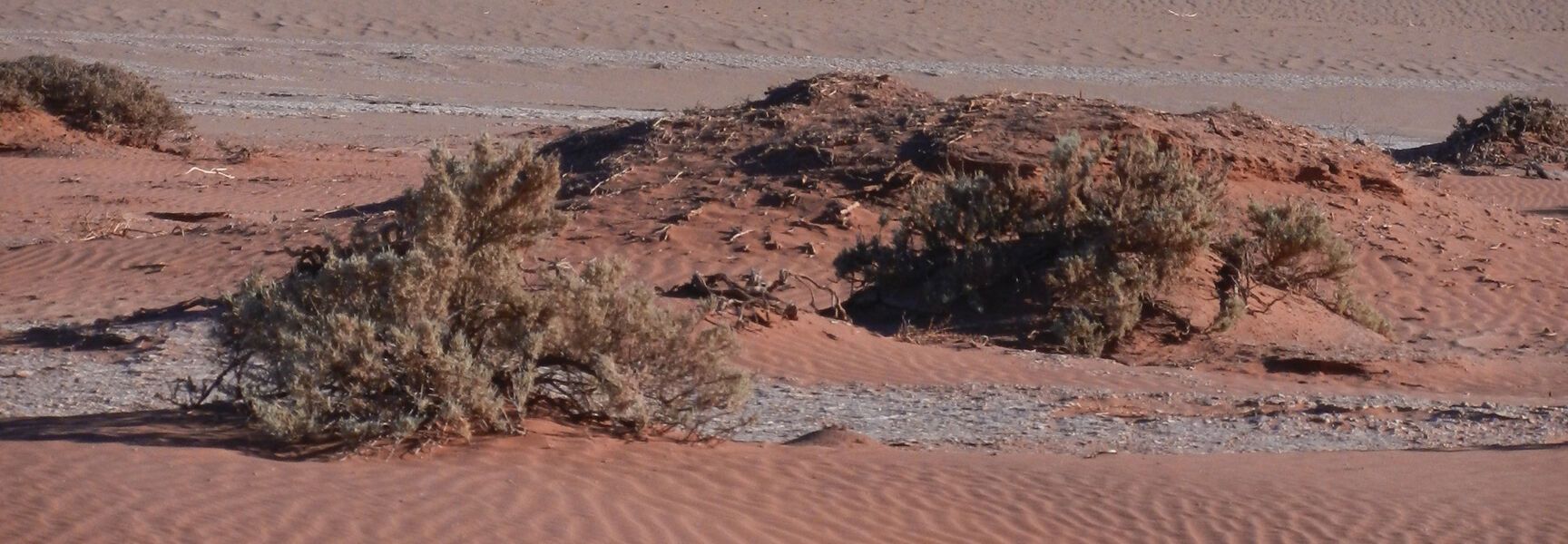 Towering red sand dunes with sharp ridges and deep shadows rise above scrubland in the Namib Desert of Namibia under a clear blue sky.
