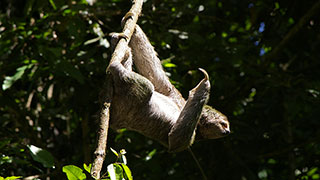 Costa Rica with your grandchild