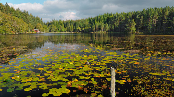 Scotland’s Highlands: A Stay at the Aigas Field Center