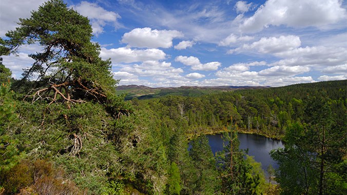 Scotland’s Highlands: A Stay at the Aigas Field Center