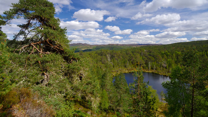 Scotland’s Highlands: A Stay at the Aigas Field Center