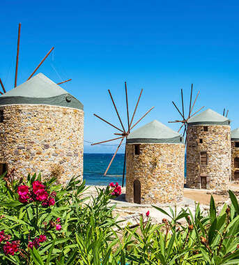 Four historic stone windmills stand on the coast of Chios Island, Greece, with bright pink flowers in the foreground and the Aegean Sea behind.