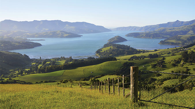 New Zealand Odyssey