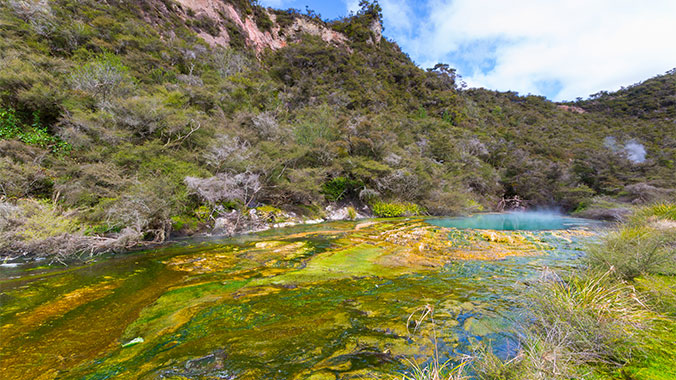 New Zealand Odyssey