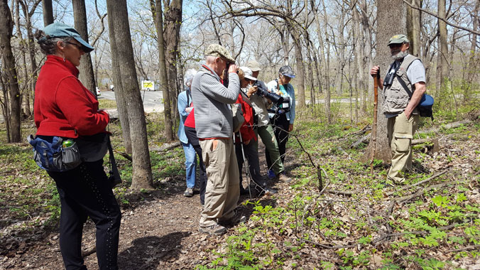 Spring in the Mississippi River Valley: Birds and Wildflowers