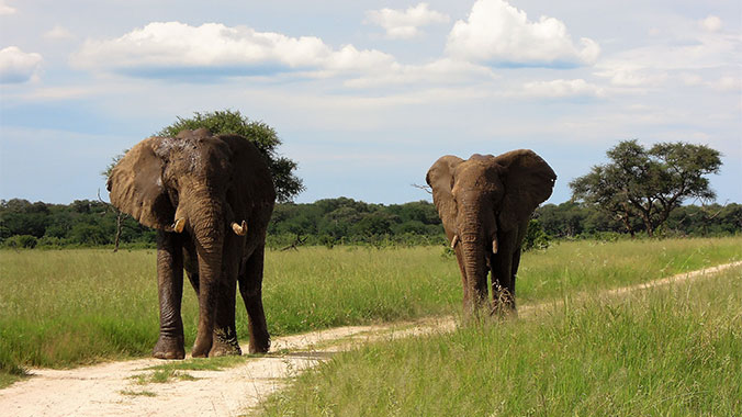 Southern Africa By Train: South Africa, Mozambique, Swaziland & Zimbabwe