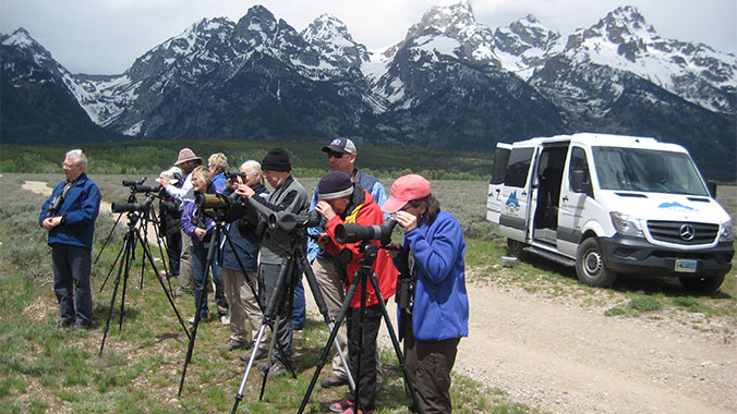 Birding in the Tetons