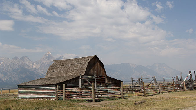 Wildlife in Yellowstone and Grand Tetons National Park