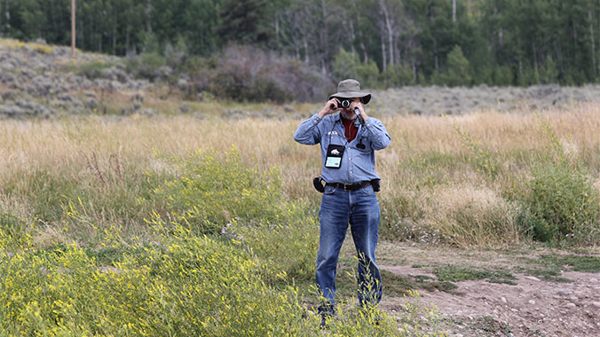 Wildlife in Yellowstone and Grand Tetons National Park