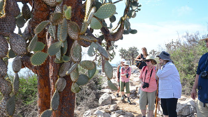Galapagos at a slower pace