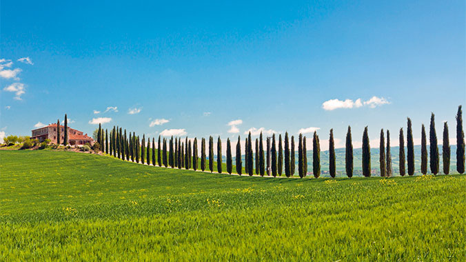 Tuscany with Your Grandchild