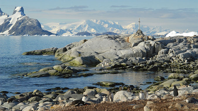 Beyond Antarctica: South Shetlands, South Georgia & the Falklands