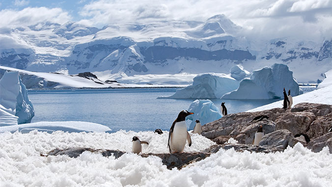 Antarctica Cruise