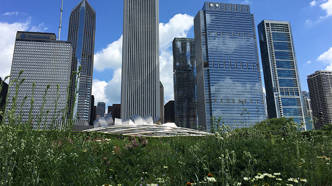 STEM Chicago: Robotics & Game Design With Your Grandchild