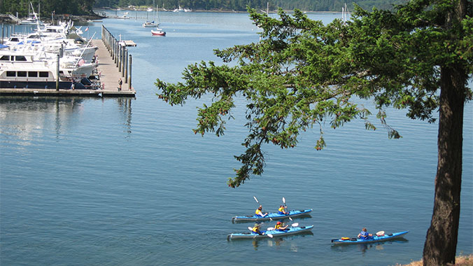 Kayaking the San Juan Archipelago