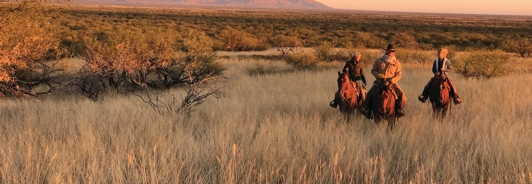 Three people on horseback ride through a grassy, open landscape in Arizona as the sun sets in the distance.