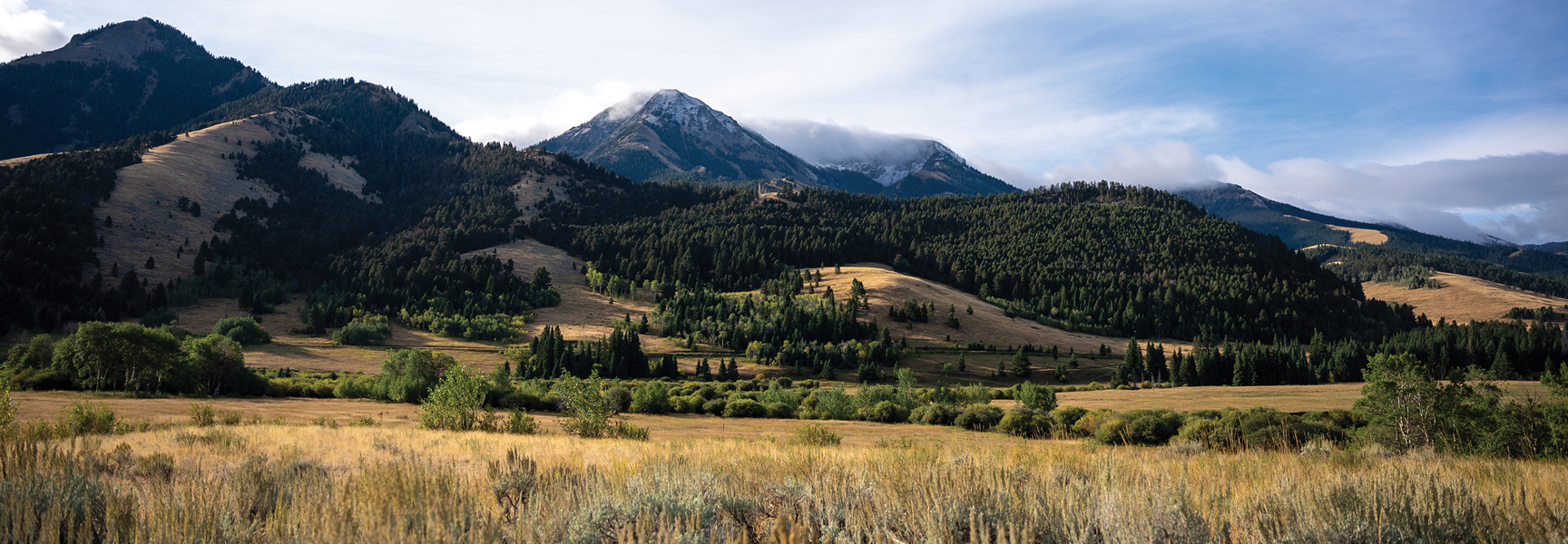 A sprawling Montana landscape with grassy fields in the foreground and large, tree-covered mountains under a cloudy sky.