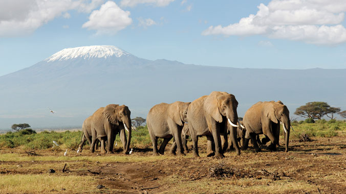 The Best of Kenya and Tanzania: A Classic Safari - Women Only