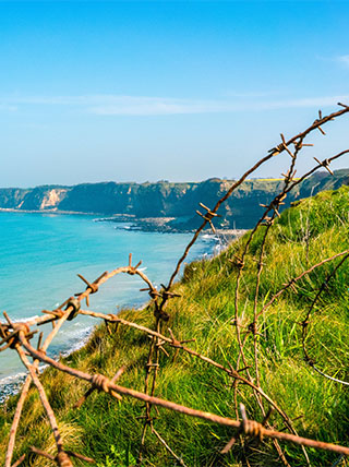 The best of normandy