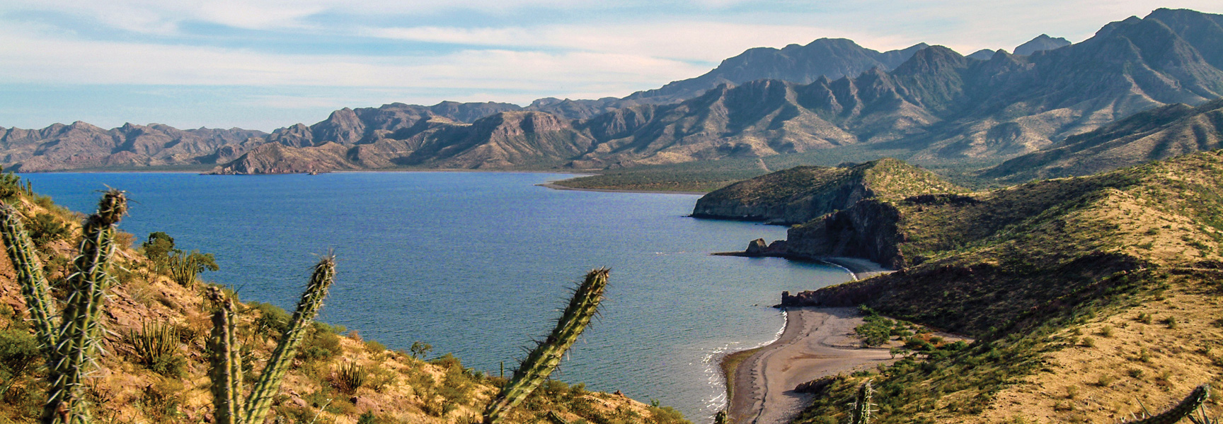 Cacti on a desert hillside overlook a brilliant blue bay and rugged mountains along the coast of Baja California, Mexico.
