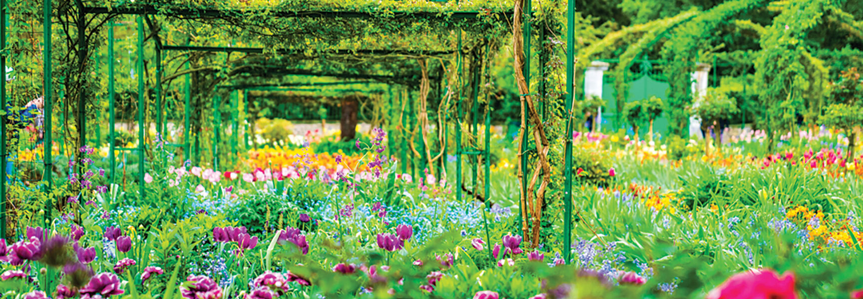 Vibrant flowers bloom beneath a green metal trellis in a French garden, visited during an art and history riverboat voyage along the Seine.