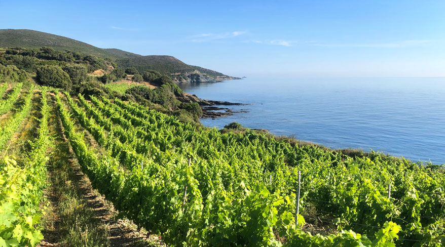Corsica