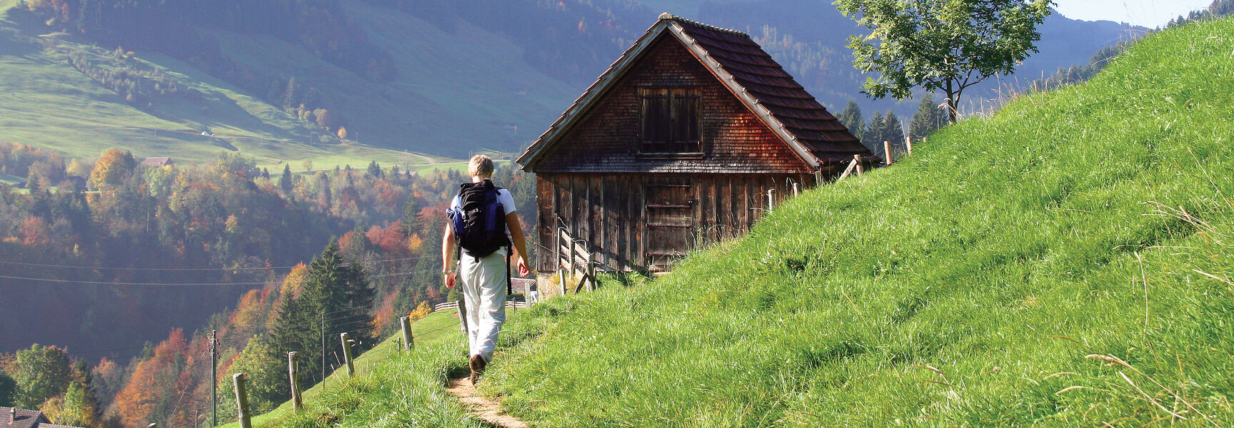 A hiker walks along a grassy path past a rustic wooden cabin toward the majestic Swiss mountains during a gentle hiking trip in Switzerland.
