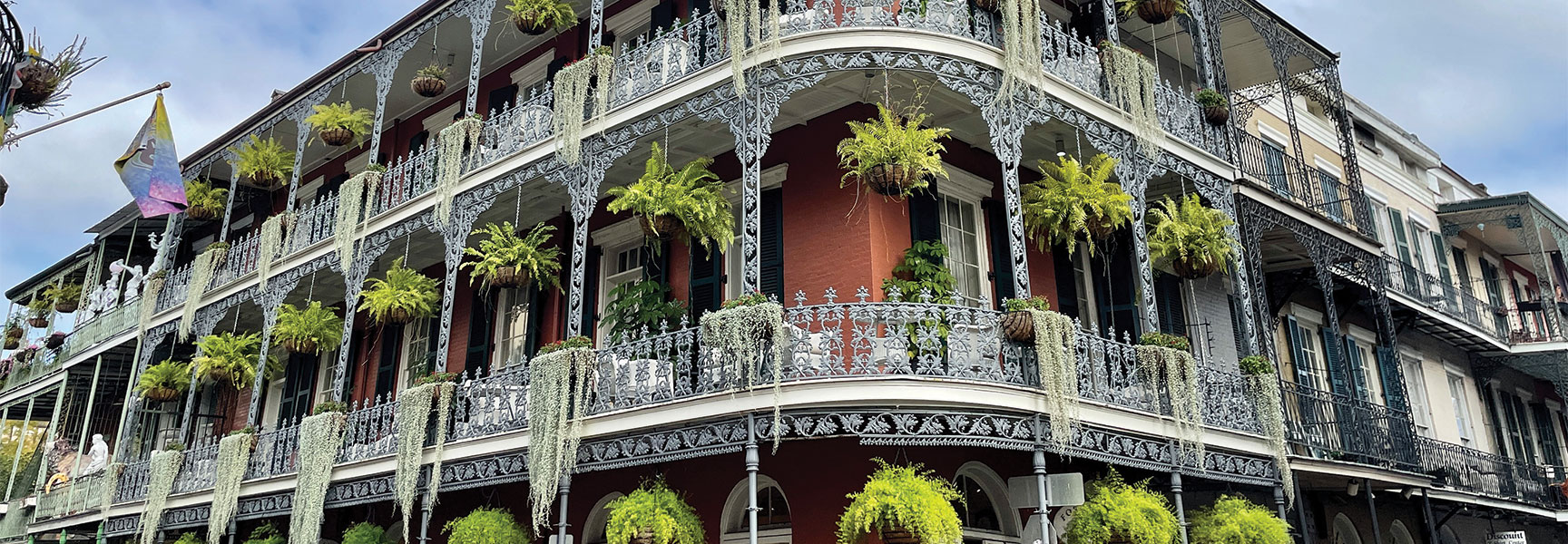 A historic New Orleans building featuring ornate wrought-iron balconies decorated with lush hanging ferns and plants.