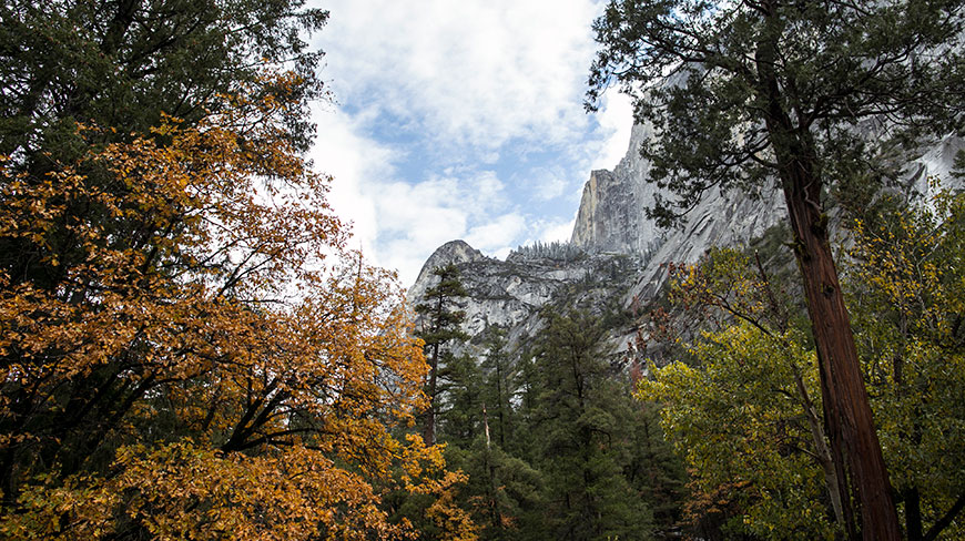 25128-US_CA_Yosemite_4c.jpg