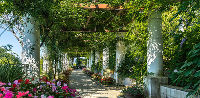 A vine-covered pergola with white columns casts shadows on a stone walkway lined with colorful flowers at Villa San Michele in Italy.