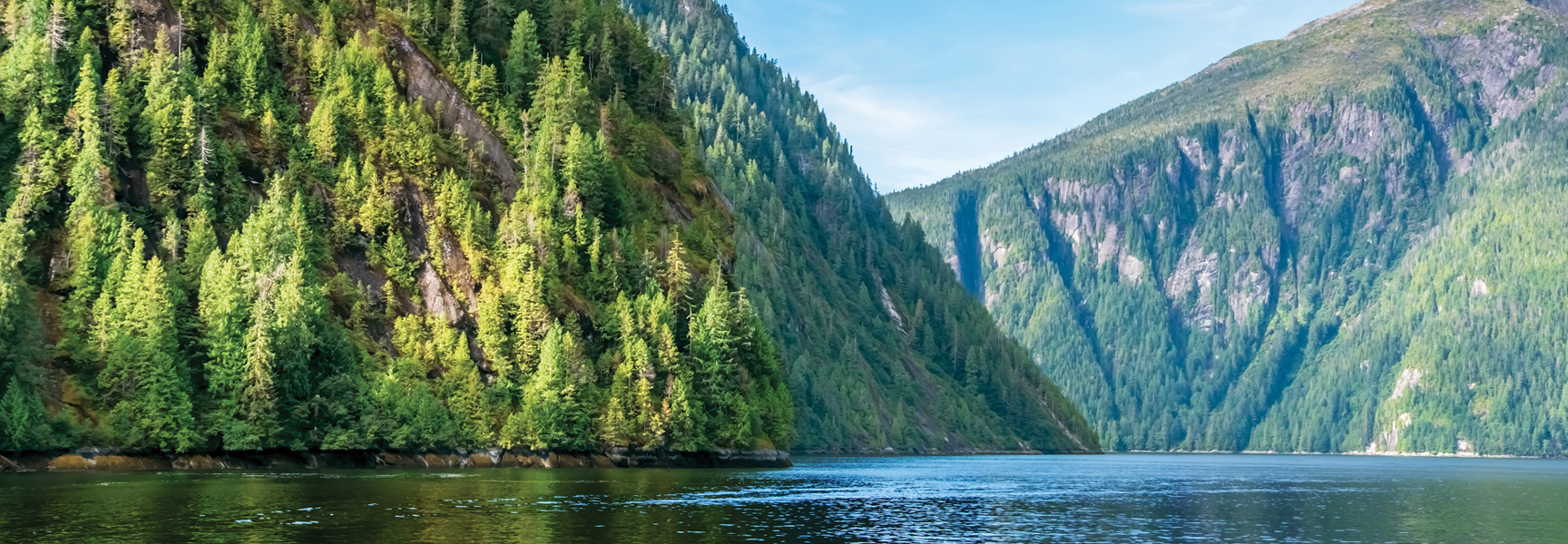 Steep, tree-covered mountains rise from the calm waters of a fjord in Alaska under a blue sky.