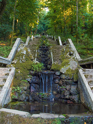 A water fountain cascades down a long, mossy stone staircase through a lush forest in Costa Rica.