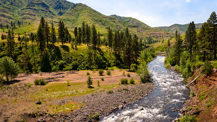A river flows through the green, pine-dotted landscape of Hells Canyon along the border of Idaho and Oregon.