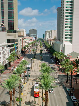 High-angle view of Canal Street in New Orleans featuring a red streetcar traveling through a palm tree-lined boulevard surrounded by tall city buildings.