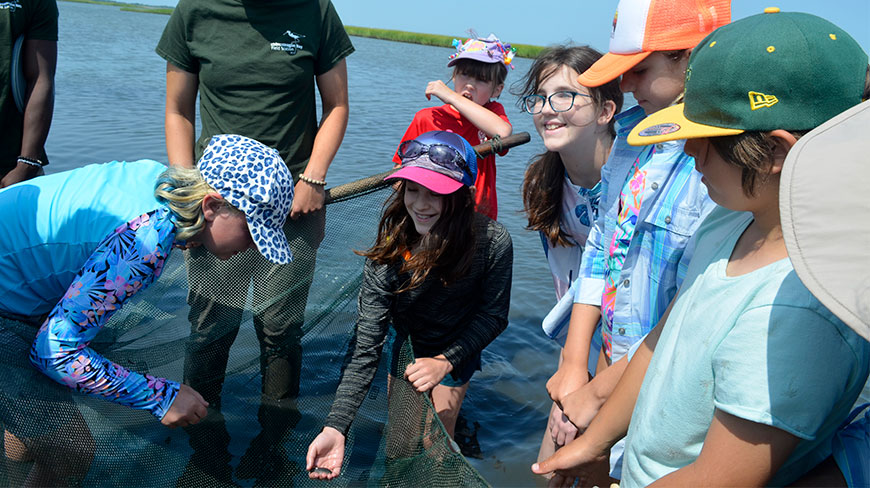 Participants catching fish with a net during an Ocean Science Adventure on Chincoteague Bay at Wallops Island, Virginia.