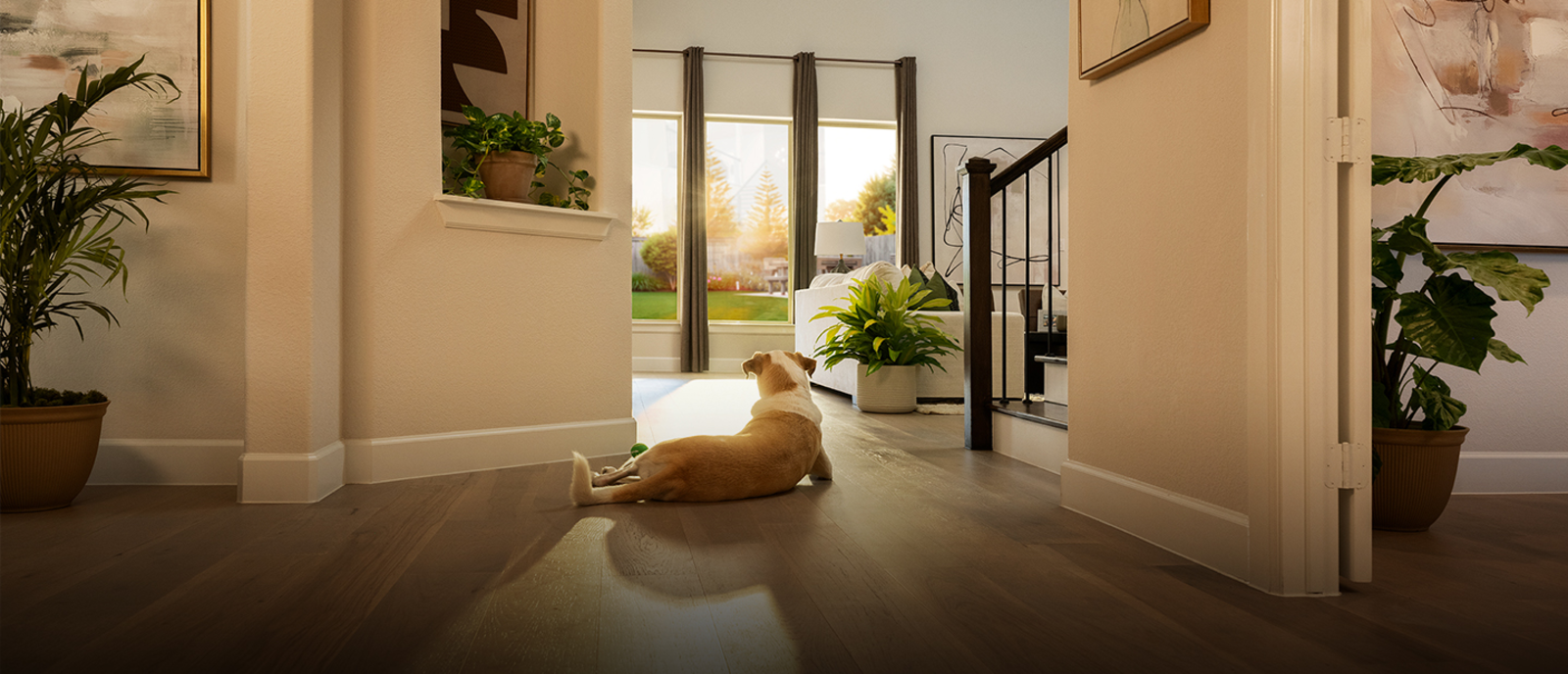 25_10 BH CORP_4 Homepage_1_dog.jpg