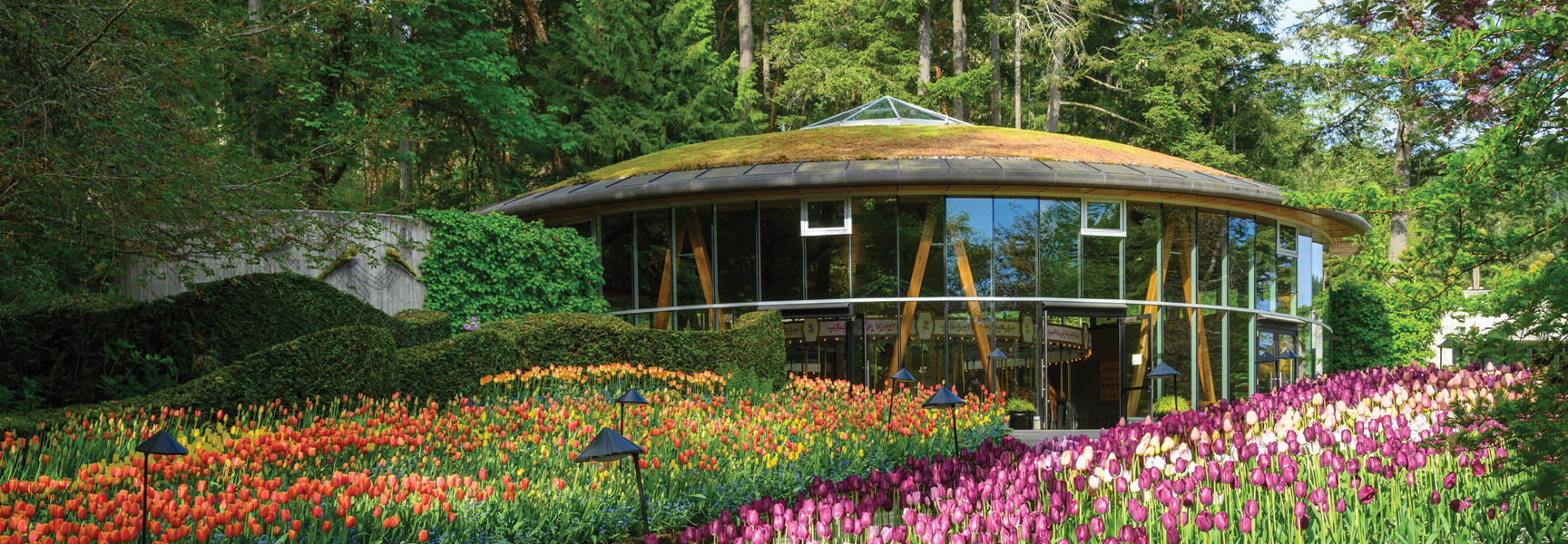 A modern, round building with a living roof is surrounded by vibrant beds of colorful tulips in a lush British Columbia garden.
