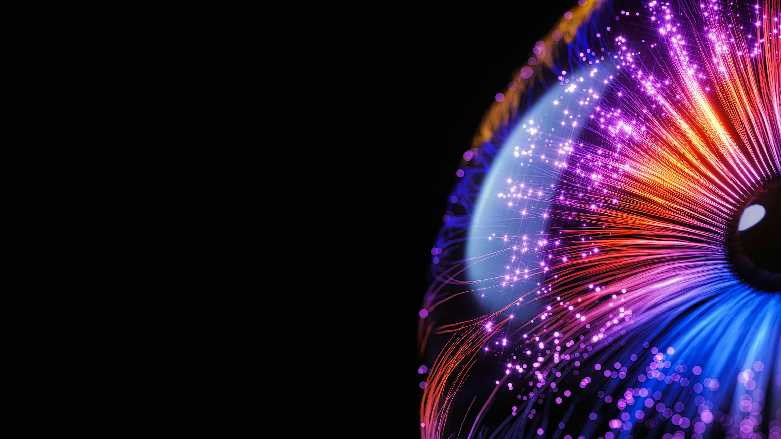 Abstract image of flower with black background.