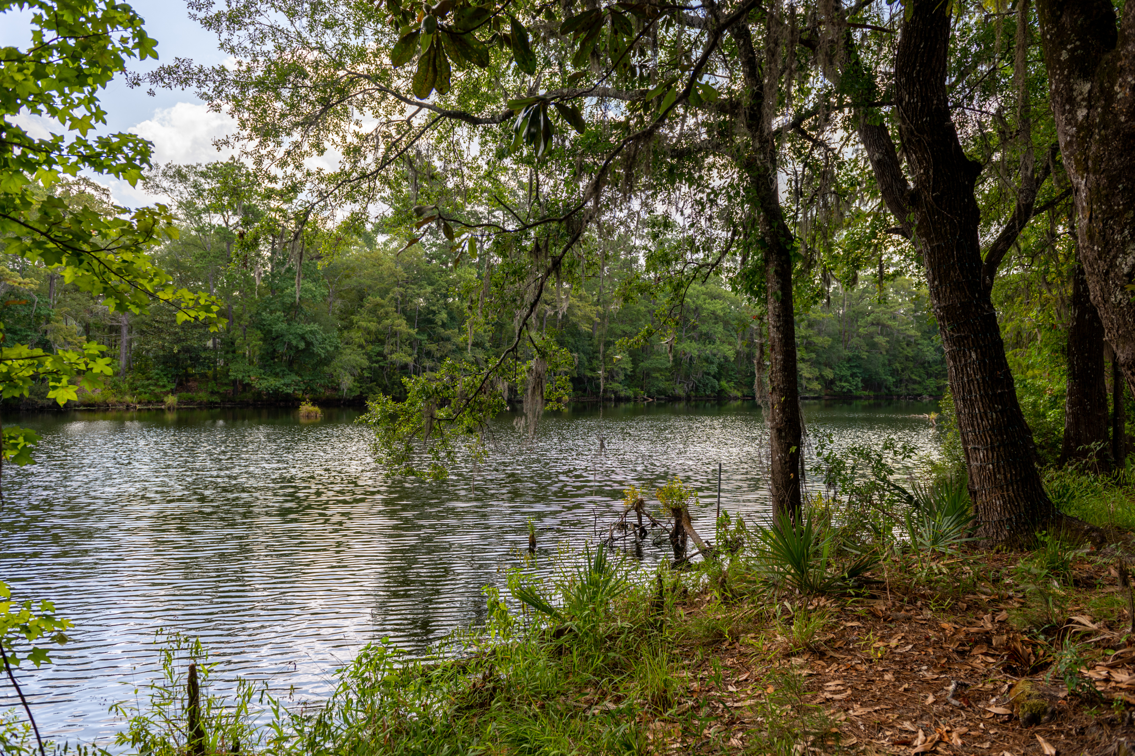 349a7d5e-927a-48e1-80ed-9d8111ef5ed7