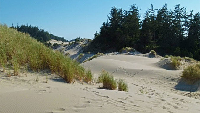 A Hiking Adventure Along Oregon's Central Coast