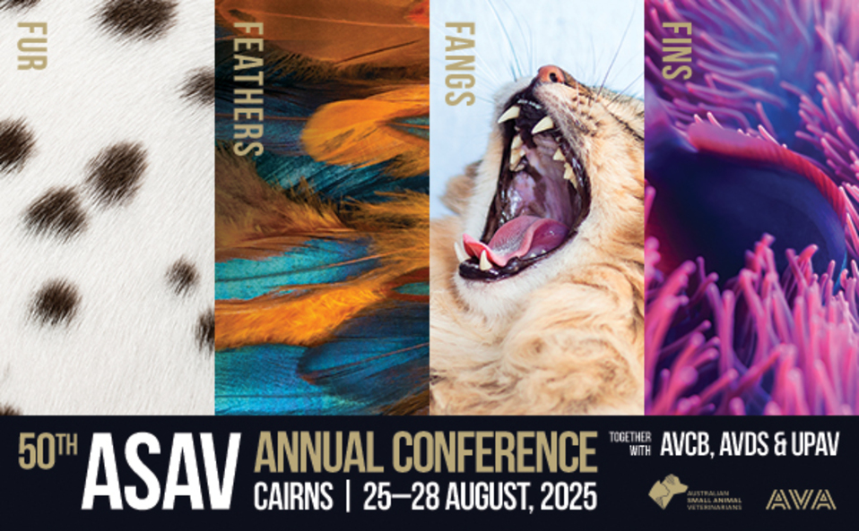 50th ASAV Banner 2025